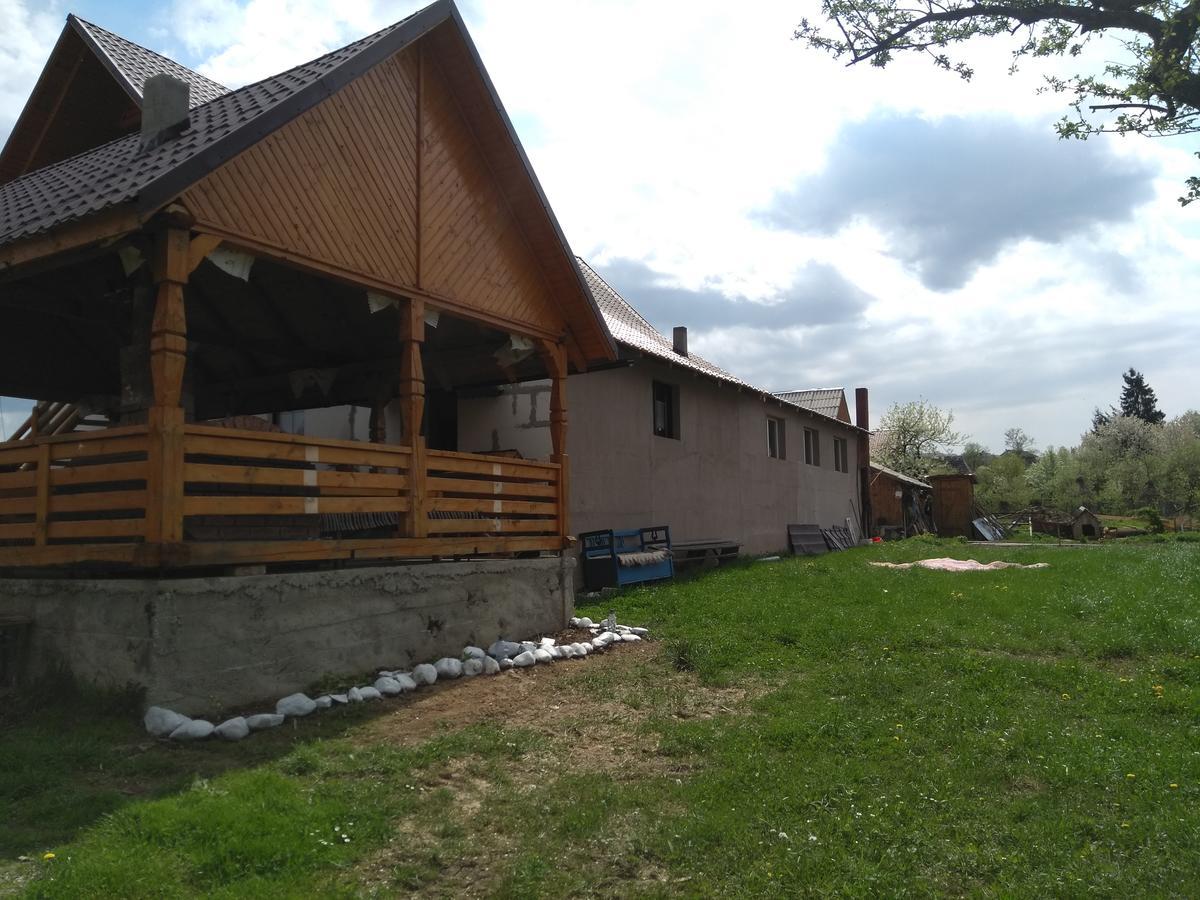 Pensiune Agroturistica "Casa Teodora" Budesti  Exterior photo