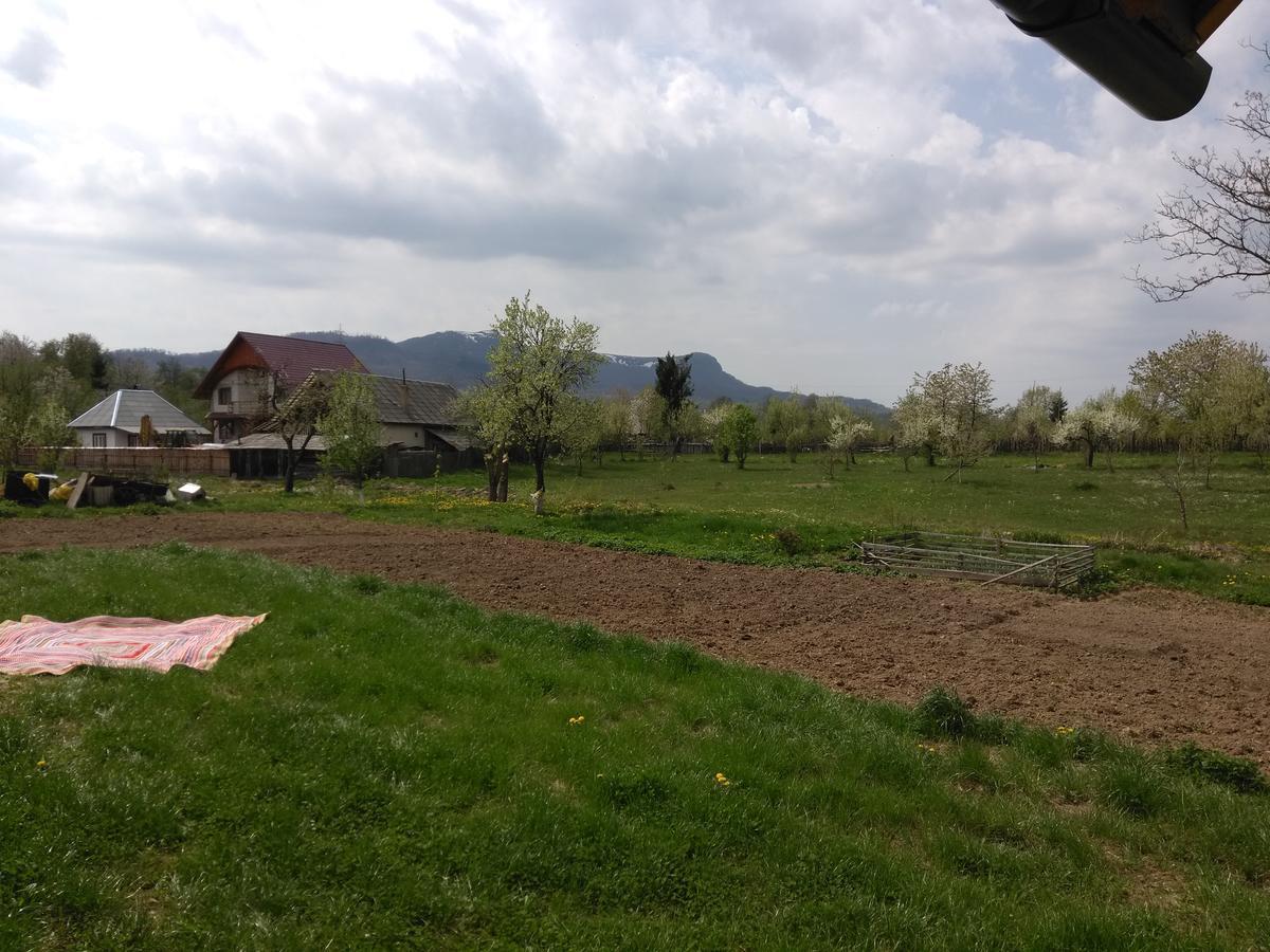 Pensiune Agroturistica "Casa Teodora" Budesti  Exterior photo