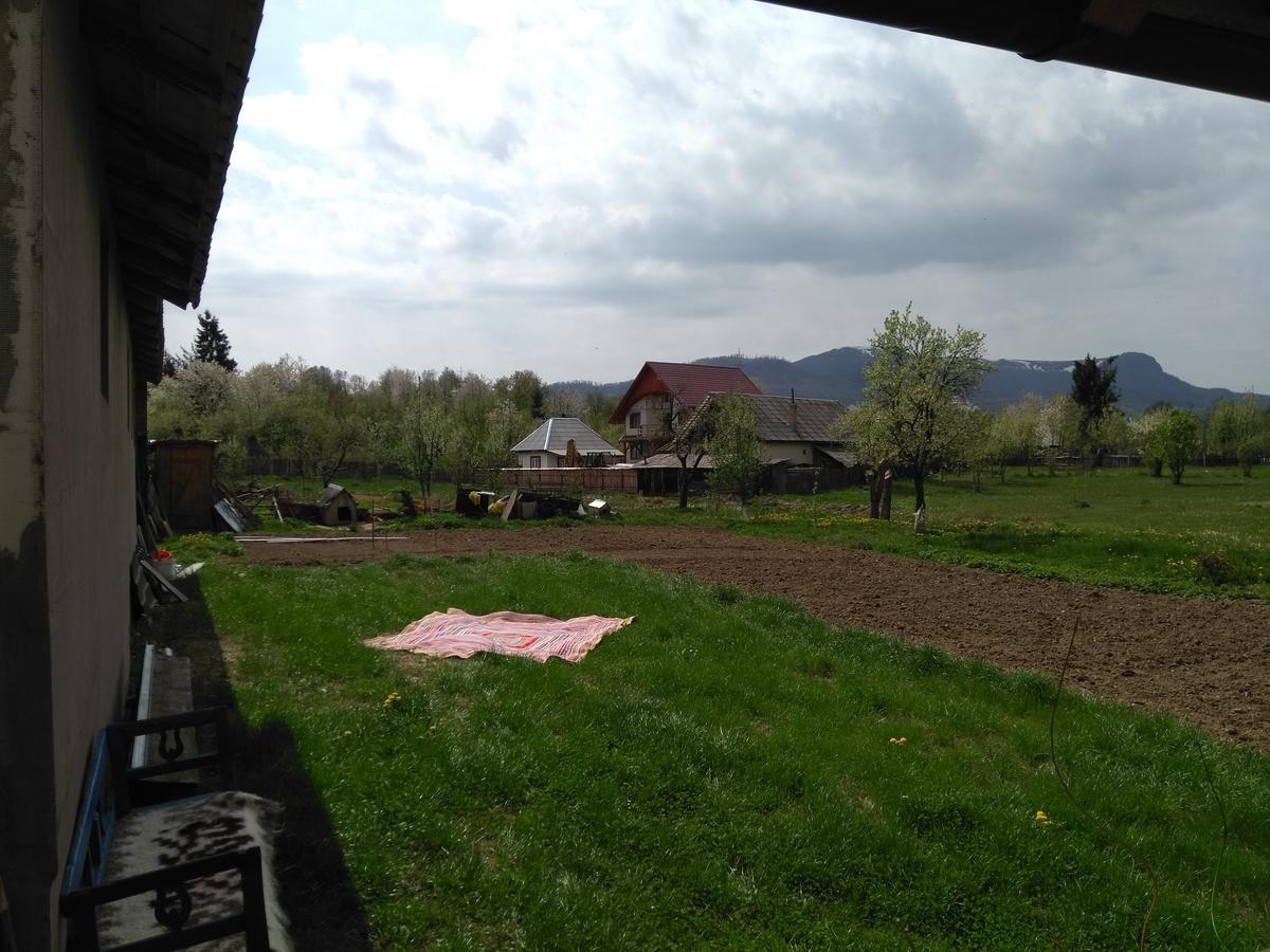 Pensiune Agroturistica "Casa Teodora" Budesti  Exterior photo